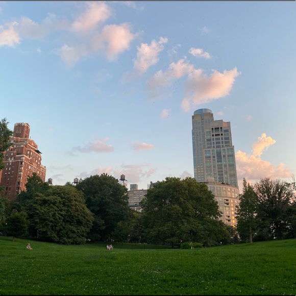 Meet your Posher, Elijah - Picture 1 of 1